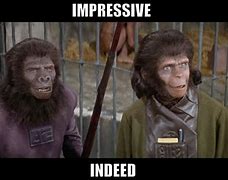 Image result for Planet of the Apes Meme Damn You