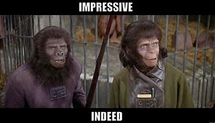 Image result for Planet of the Apes Meme CS:GO