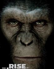 Image result for Rise of the Planet of the Apes