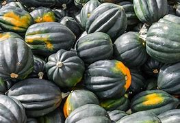 Image result for Different Kinds of Squash