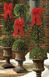 Image result for Christmas Topiaries