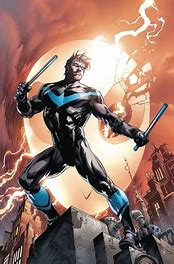 Image result for Nightwing with a Cape