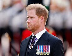 Image result for Prince Harry Royal