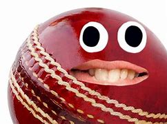 Image result for Funny Cricket