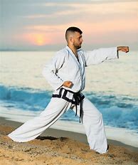 Image result for Pic of Karate Poses