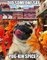 Image result for New Year Pug Meme