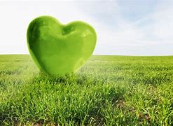 Image result for The Healthy Heart Association