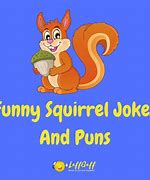 Image result for Funny Squirrel Memes