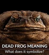 Image result for Dead Frog Drawing