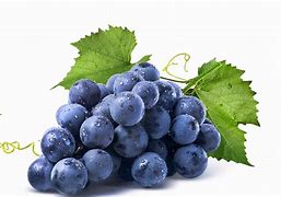 Image result for White Spots On Grapes