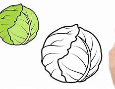 Image result for Easy Drawing of Cabbage