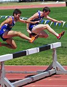 Image result for Steeplechase Cartoon