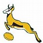 Image result for South African Rugby
