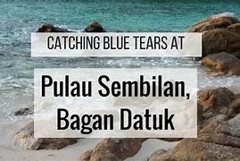 Image result for Blue Tears Bagan Datuk