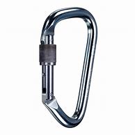 Image result for Steel Double Locking Carabiner Large