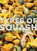 Image result for Squash Photos and Names