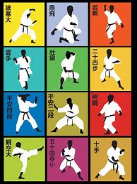 Image result for Billal Merzouk Shotokan Karate