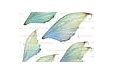 Image result for Printable Fairy Wings
