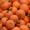 Image result for Fall Apples Pumpkins Wallpaper