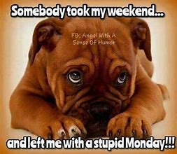 Image result for Happy Monday Quotes Funny Dogs