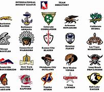 Image result for Professional Hockey Team Logos