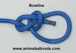Image result for Rope Tie Bowline Knot