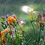 Image result for Spring Storm Clouds