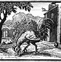 Image result for Le Coq Et La Perle