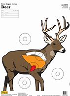 Image result for Deer Shooting Targets