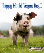 Image result for Happy Vegan Day