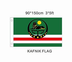 Image result for Chechnya Flag