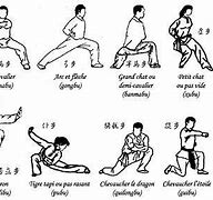 Image result for Kung Fu Types