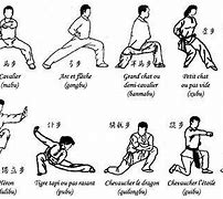 Image result for Dragon Kung Fu Basics