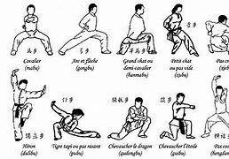 Image result for Shaolin Kung Fu Stances