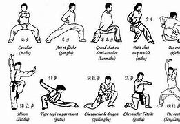 Image result for List of Kung Fu Fighting Styles
