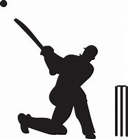 Image result for Transparent Cricket Uniforms