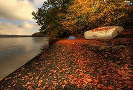Image result for Autumn Beach Background Wallpaper