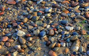 Image result for Were Is Pebbles