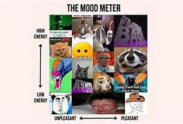 Image result for Learning Mood Meme