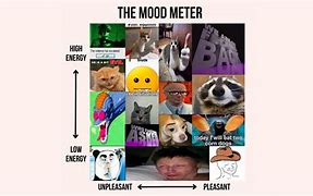 Image result for Learning Mood Meme
