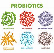 Image result for Types of Probiotics