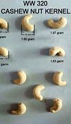 Image result for Nut Weight in Kg