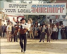 Image result for Support Your Local Sheriff Movie