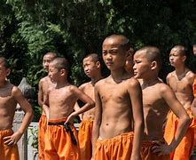 Image result for Chinese Kung Fu