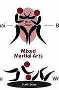 Image result for Fighting Styles in MMA