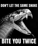 Image result for Sea Snake Memes