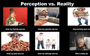 Image result for Perception vs Reality Meme