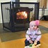 Image result for Wood Stove Screen Guard