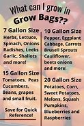 Image result for Grow Bag Size Chart