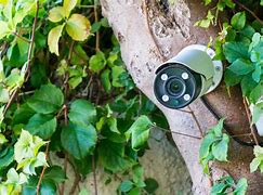 Image result for How to Hide Security Camera